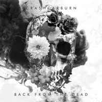 Hurricane_Crashcarburn