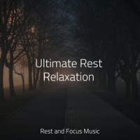 Trance_Música de la Naturaleza,Deep Sleep,Música Zen Relaxante