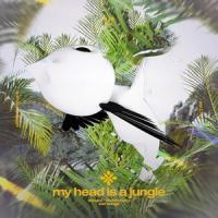 my head is a jungle - slowed + reverb_Slo,Twilight,Tazzy