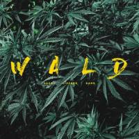 Wald_Lazy Lizzard Gang