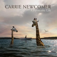 Every Little Bit of It_Carrie Newcomer