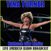 I Heard It Through The Grapevine_Tina Turner