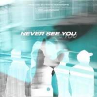 Never See You_TwoFLags,Bad Habits,MusicByDavid,Liam Sturgess,Tom Beier,Daniel Czaja,Aykut Hüseyin Baser,Carlos García Paredes,William Chamberlain Sturgess