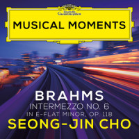 Brahms: 6 Pieces for Piano, Op. 118 - VI. Intermezzo in E Flat Minor. Andante, largo e mesto_赵成珍