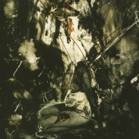Wail Of Sumer_Fields of the Nephilim
