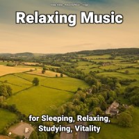 Relaxing Music for Noise Reduction_Deep Sleep,Relaxing Music,Yoga