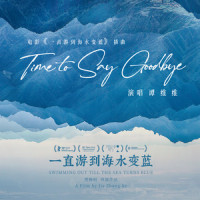Time to Say Goodbye_谭维维