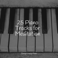 The Softest Snooze_Piano Pianissimo,Baby Lullaby,Easy Listening Piano
