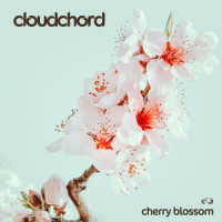 Cherry Blossom_Cloudchord