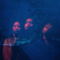 A Perfect Blue_The Sound of Modesty