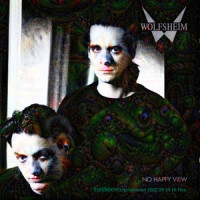 It's Not Too Late_Wolfsheim,Peter Heppner,Markus Reinhardt
