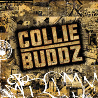 HaveTomorrow's Another Day_Collie Buddz