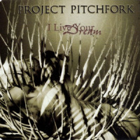 Life Command_Project Pitchfork
