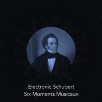 Six Moments Musicaux, D. 780: VI. Allegretto_Al Goranski,Franz Schubert