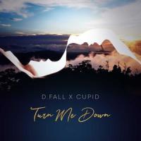 Turn Me Down(feat. Cupid)_D.fall,Cupid