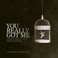 You Really Got Me_George White Group,Nikki Ocean,Groovy Waters