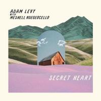 Secret Heart_Adam Levy,MeShell Ndegeocello