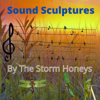Misconceptions_The Storm Honeys