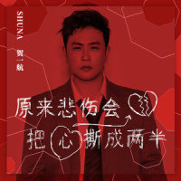 原来悲伤会把心撕成两半_贺一航