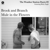 Brook and Branch_The Weather Station,Baby Eagle