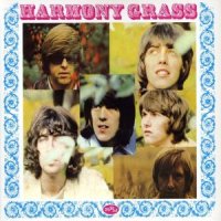 What a Groovy Day_Harmony Grass