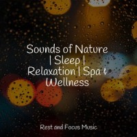 Angels by the River_Musica para Massagem Especialistas,White Noise Sleep Sounds,Pink Noise