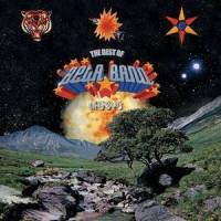 Dog's Got A Bone (Live At Shepherds Bush Empire)_The Beta Band