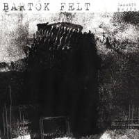 Bartók: Andante (Variation)_Garreth Broke