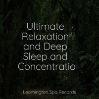 Breather_Sleepy Times,Rain Storm Sample Library,Natural Rain Sounds for Sleeping