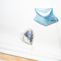 Floodlight_Maxwell Young