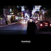 I Was There(feat. Zoe Holman, Les Stroud & Juan Barbosa)_pronobozo,Zoe Holman,Les Stroud,Juan Barbosa
