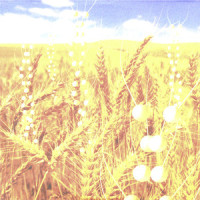Breathe_Telepopmusik,Angela McCluskey