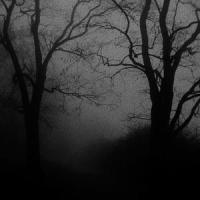 MADNESS_INTERWORLD,IVAN BELOZEROV