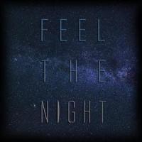 Feel the Night(feat. Laura)_Channel Earth,Laura