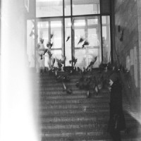 Это Все_ДДТ