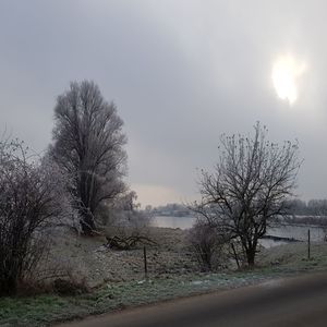 The Reflection Of Your True Self