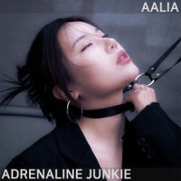 Adrenaline Junkie_Sonic Mayhem