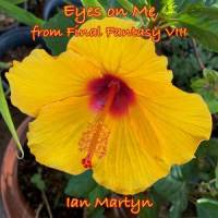 Breezy (Ukulele)_Nobuo Uematsu