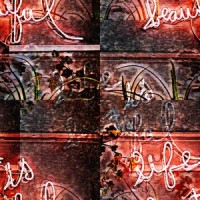 Agrionia_Tony MacAlpine