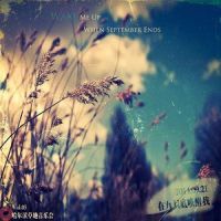 天空之城[独奏,指弹]_天空之城[独奏,指弹]