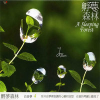 A Sleeping Forest_Yarosvet