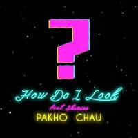 How Do I Look_Lithium