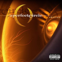Tilling My Grave_A Perfect Circle