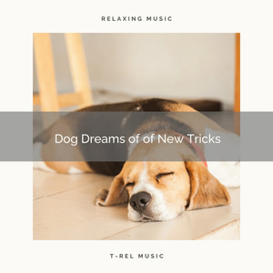 A Perfect Dream Pt.2