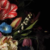 Maeko_Salt To The Sea