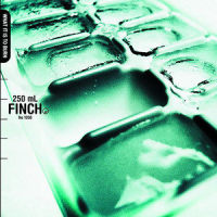 Without You Here_Finch