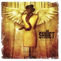 Imperfection_Skillet