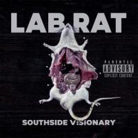 Lab Rat_Moon Pigeons