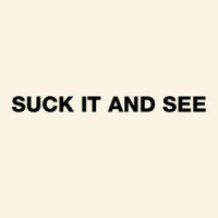 All My Own Stunts_Arctic Monkeys