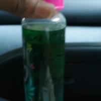 Sdmf_Black Label Society